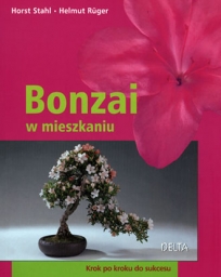 Bonzai w mieszkaniu