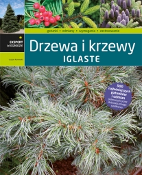 Drzewa i krzewy iglaste