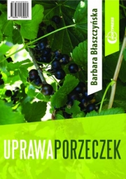 Uprawa porzeczek 